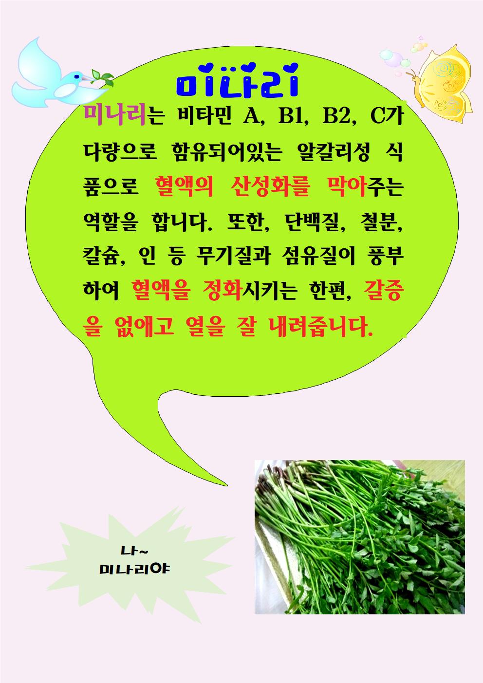 미나리(5.26)001