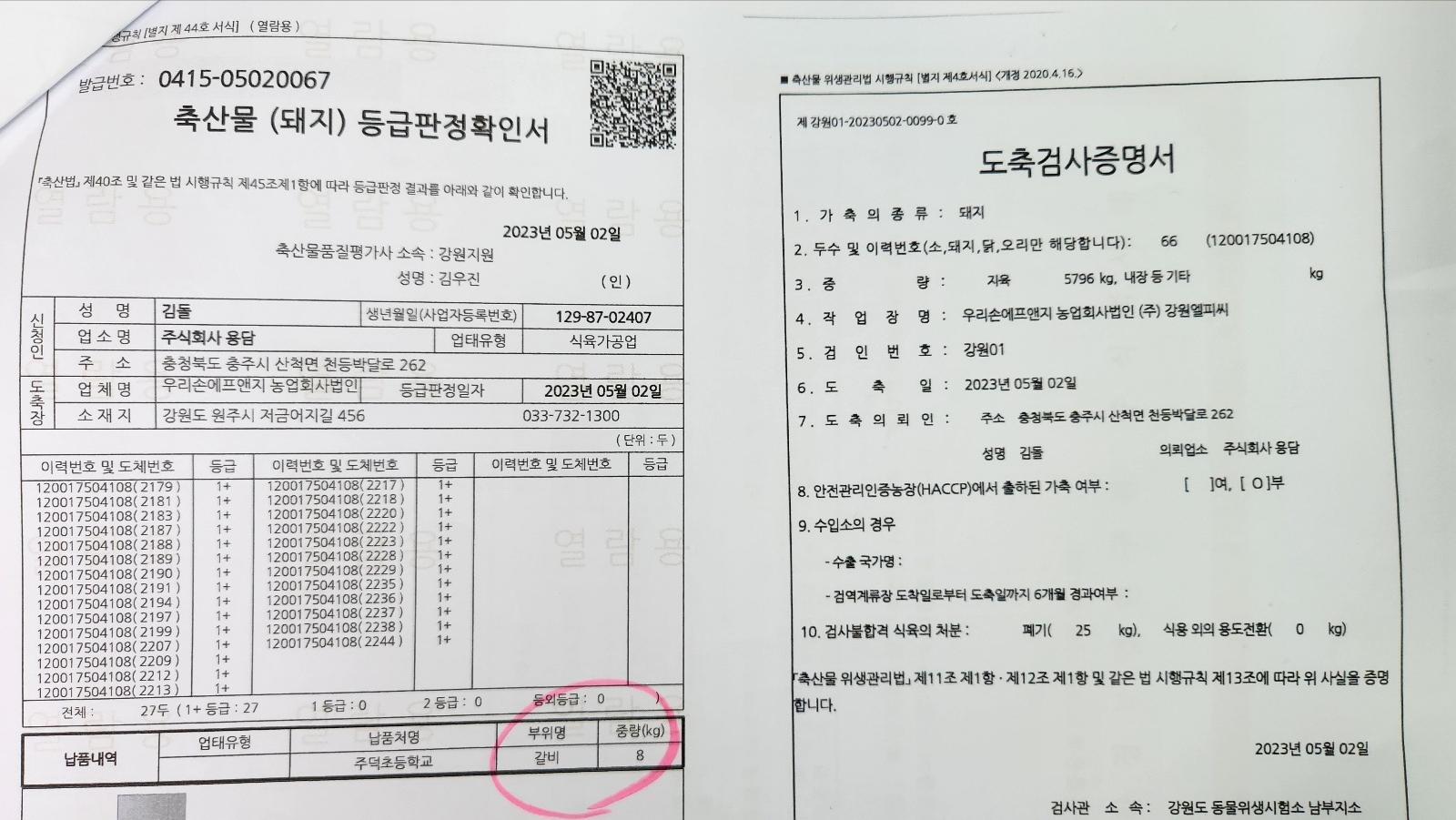 KakaoTalk_20230518_135243672_23