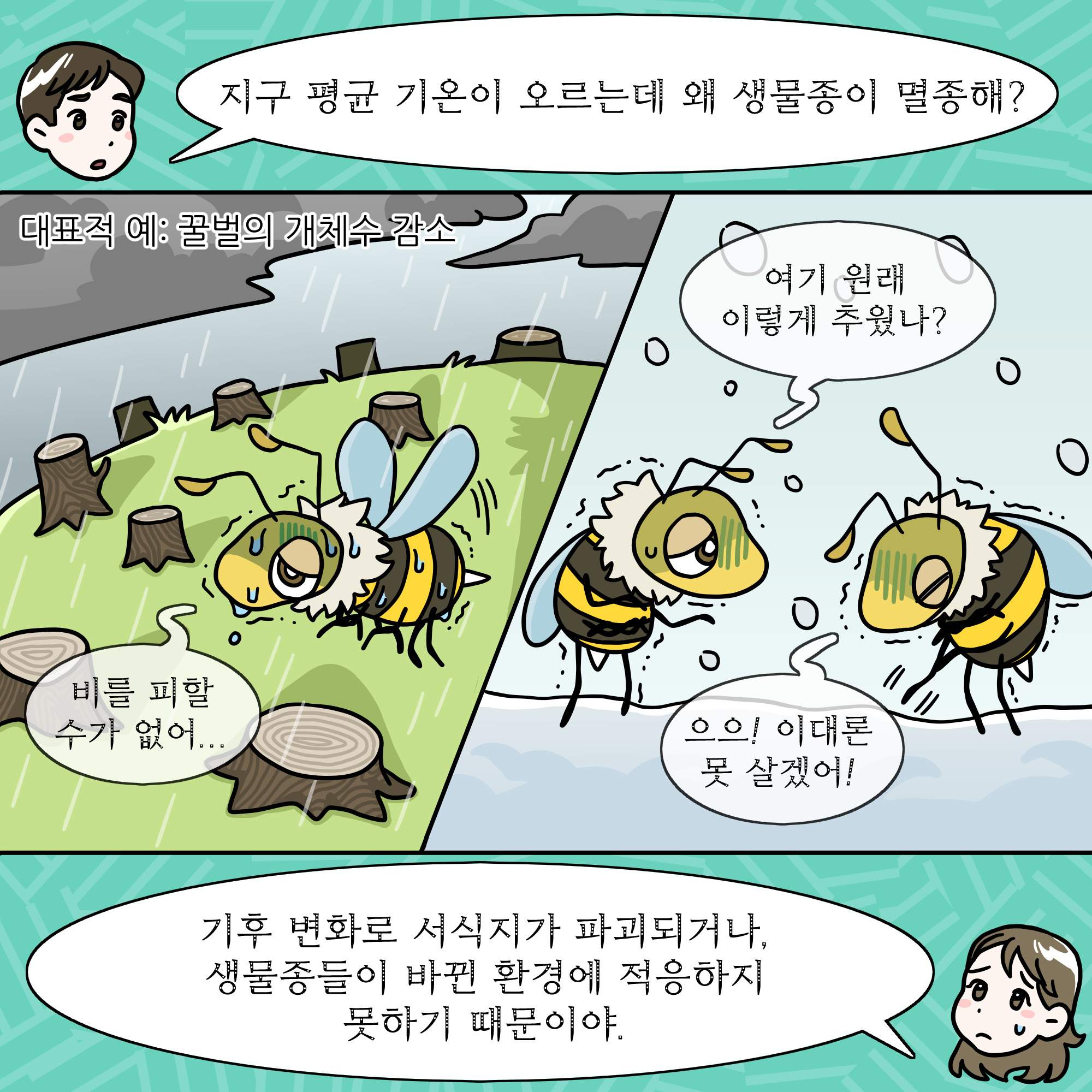 환경기념일 연계 웹툰_생물다양성의 날 (5)