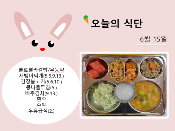 오늘의 식단 사진(2023.6.15).png