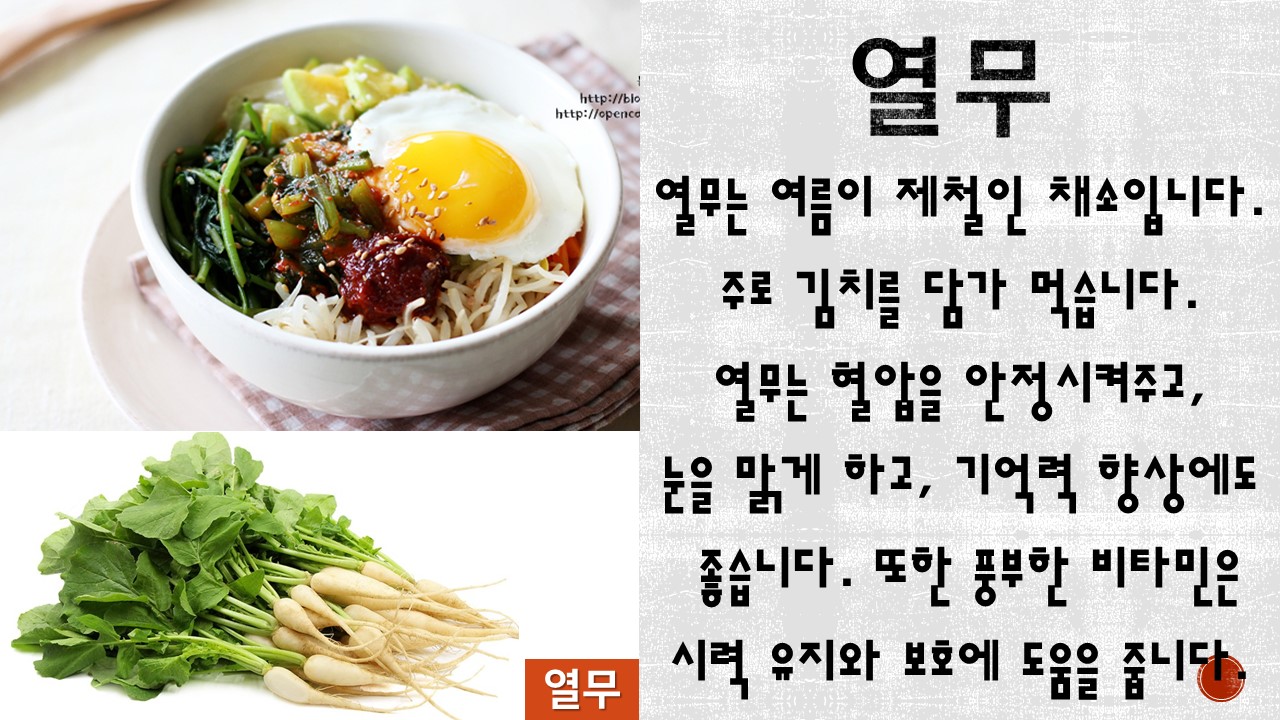 열무(6.26)