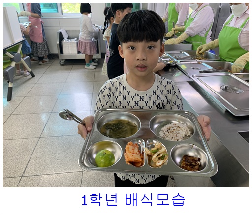 6월 19일 (1)