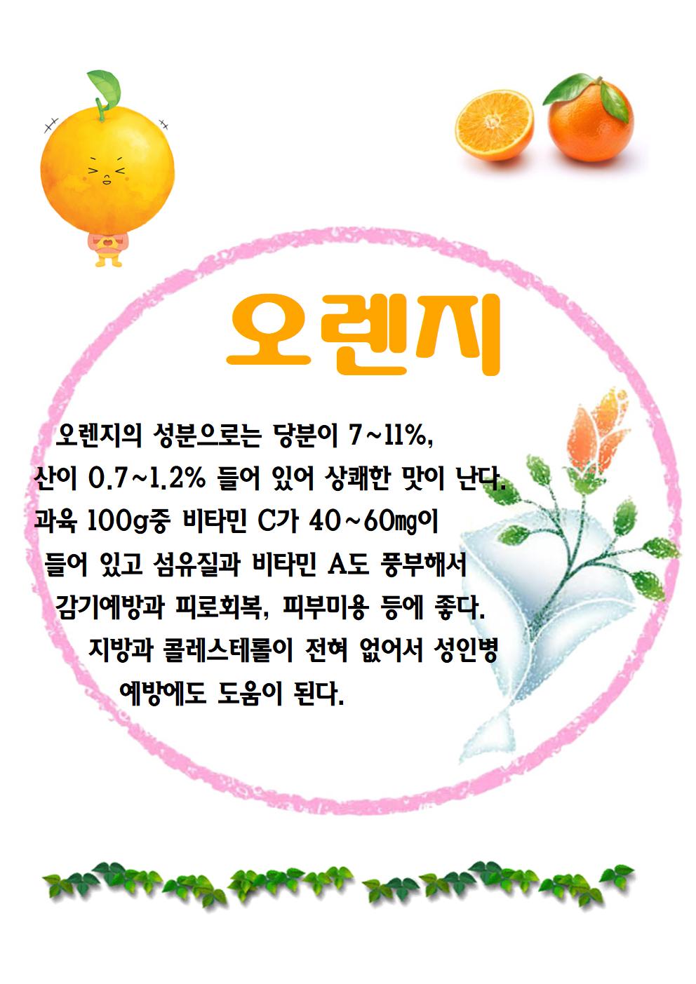 오렌지(6.2)001