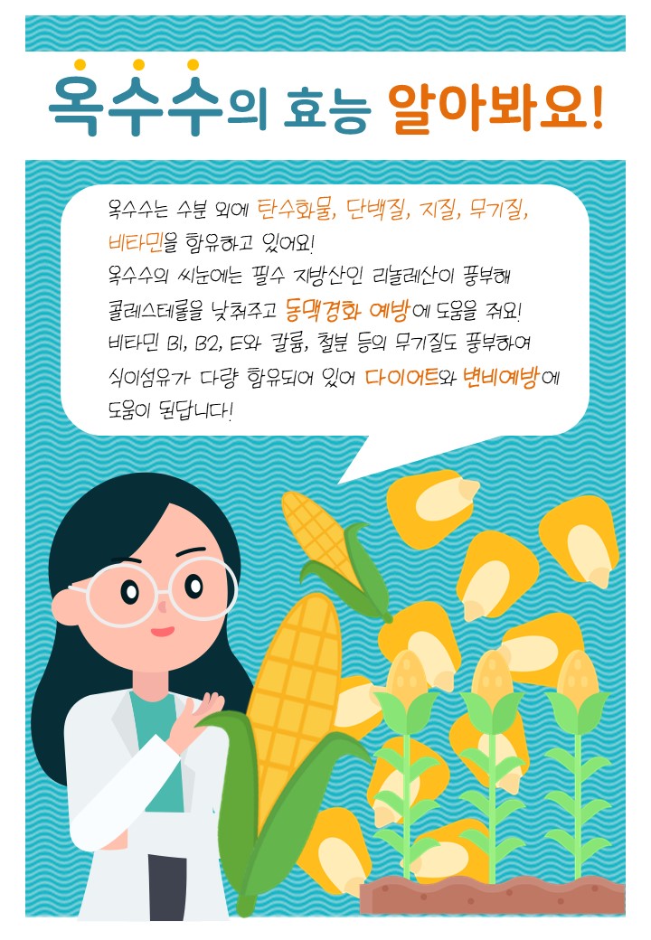 옥수수(6. 12.)