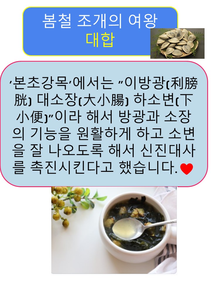 대합(6. 1)