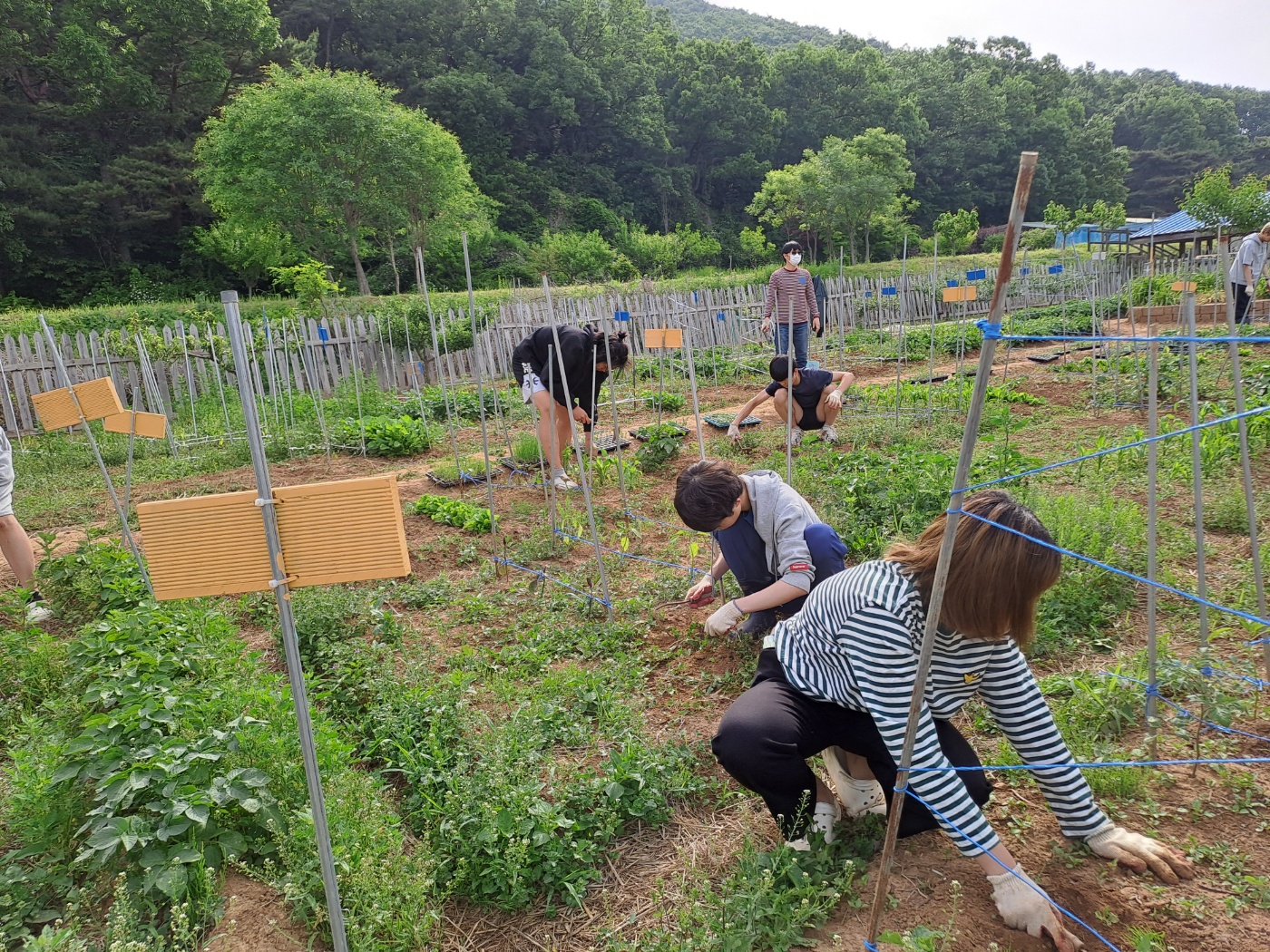 24 산마을고팀, 텃밭 조회, 생태농업, 학급 회의를 참여4