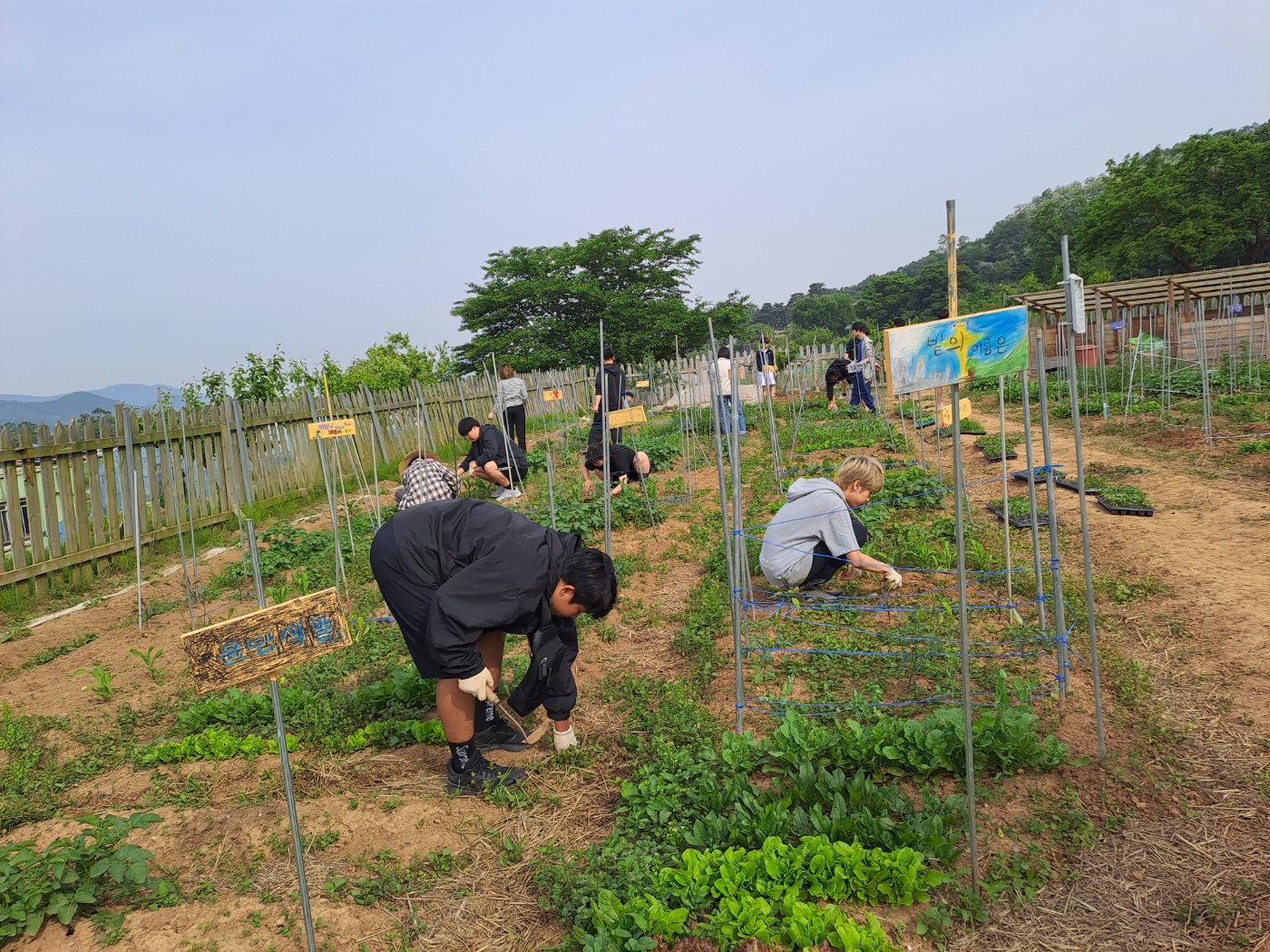 24 산마을고팀, 텃밭 조회, 생태농업, 학급 회의를 참여2