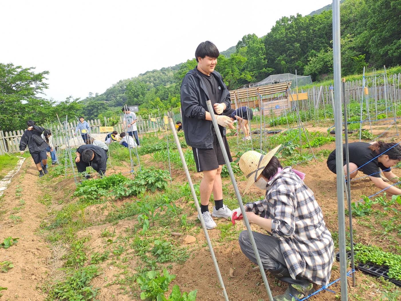 24 산마을고팀, 텃밭 조회, 생태농업, 학급 회의를 참여3