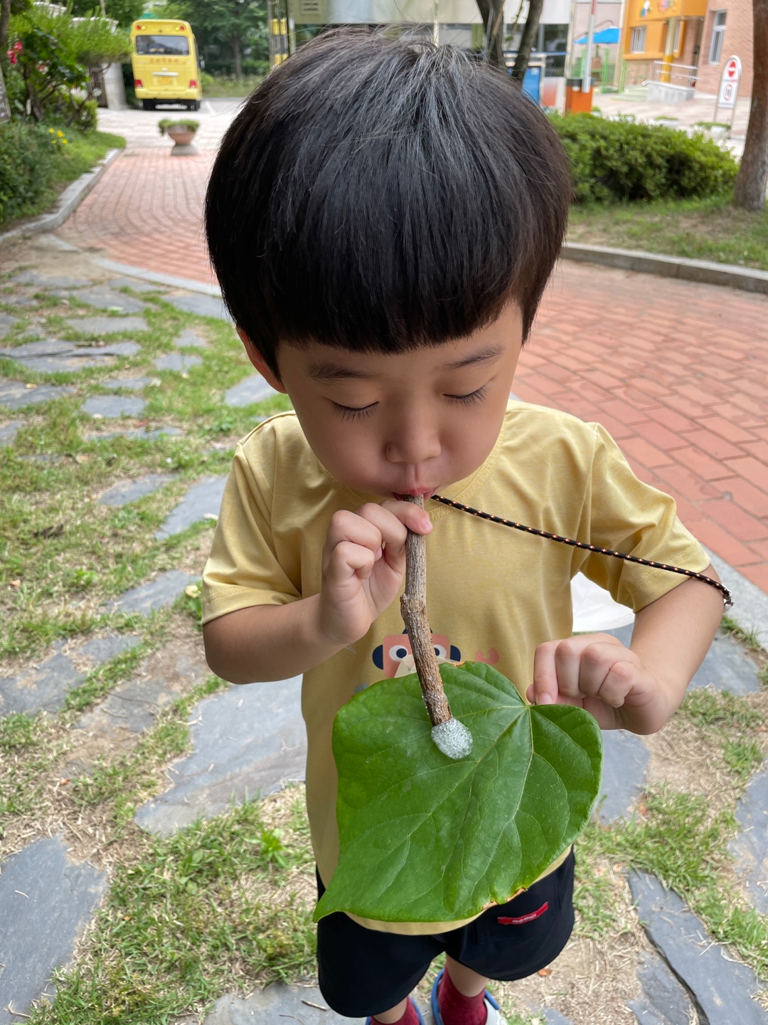 6.7 숲체험  (51)