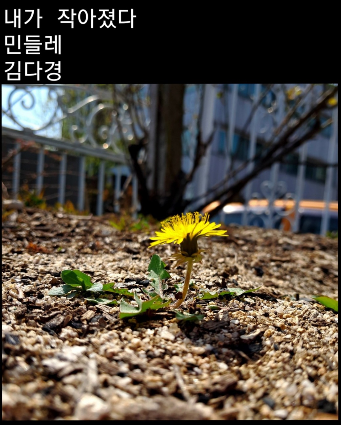 KakaoTalk_20230714_003044193_08