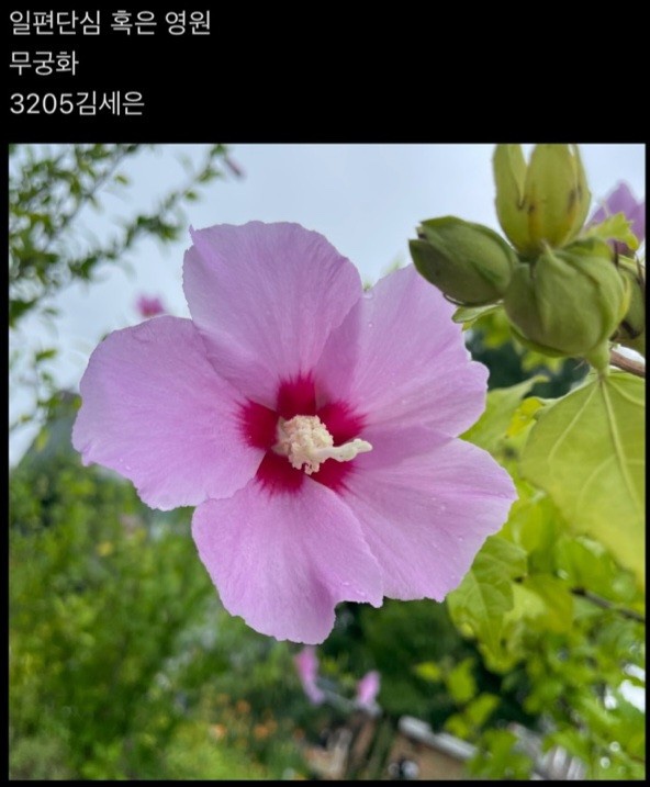 KakaoTalk_20230712_143253744_10