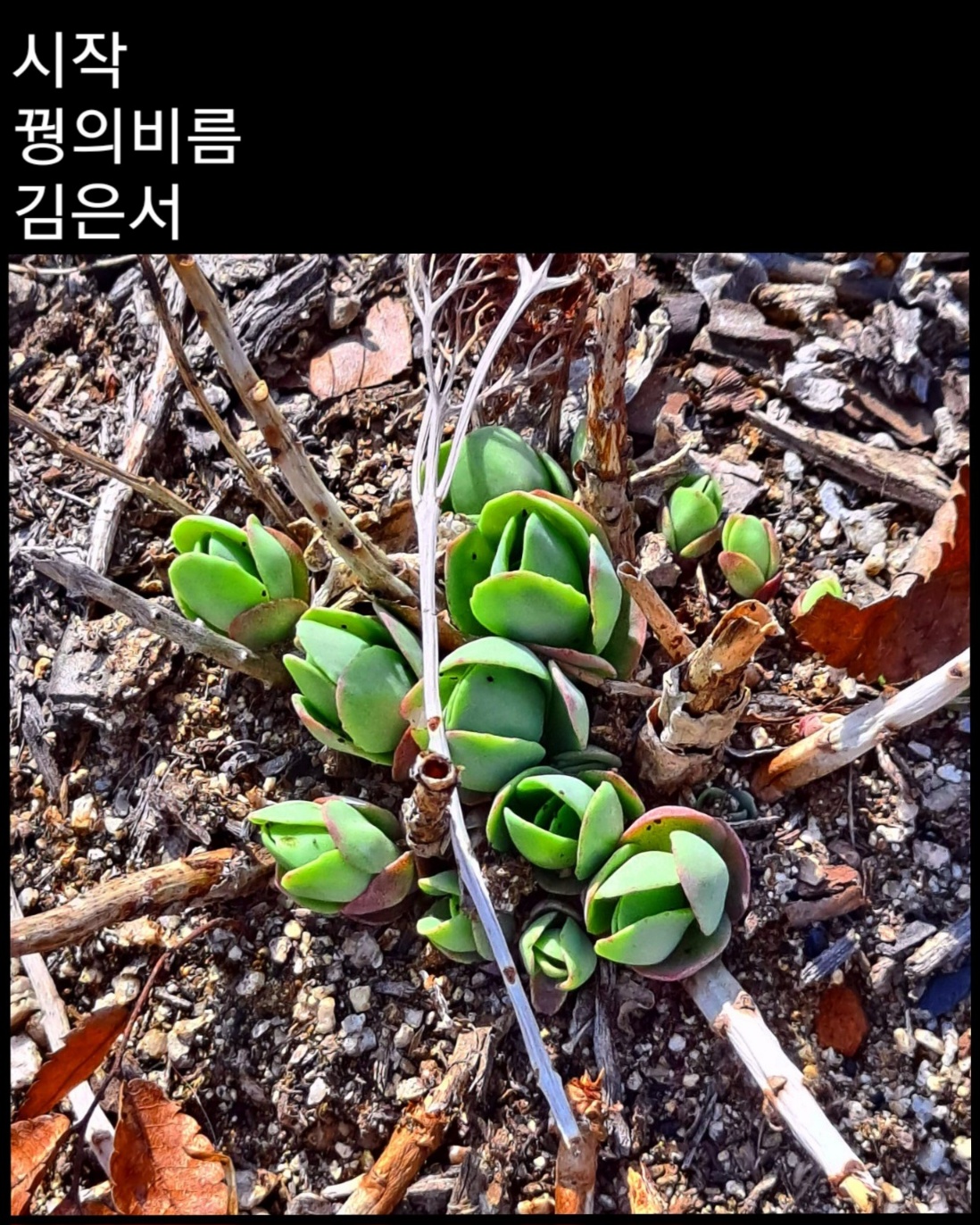 KakaoTalk_20230714_003044193_07