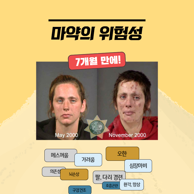 흥덕경찰서 마약카드뉴스 5
