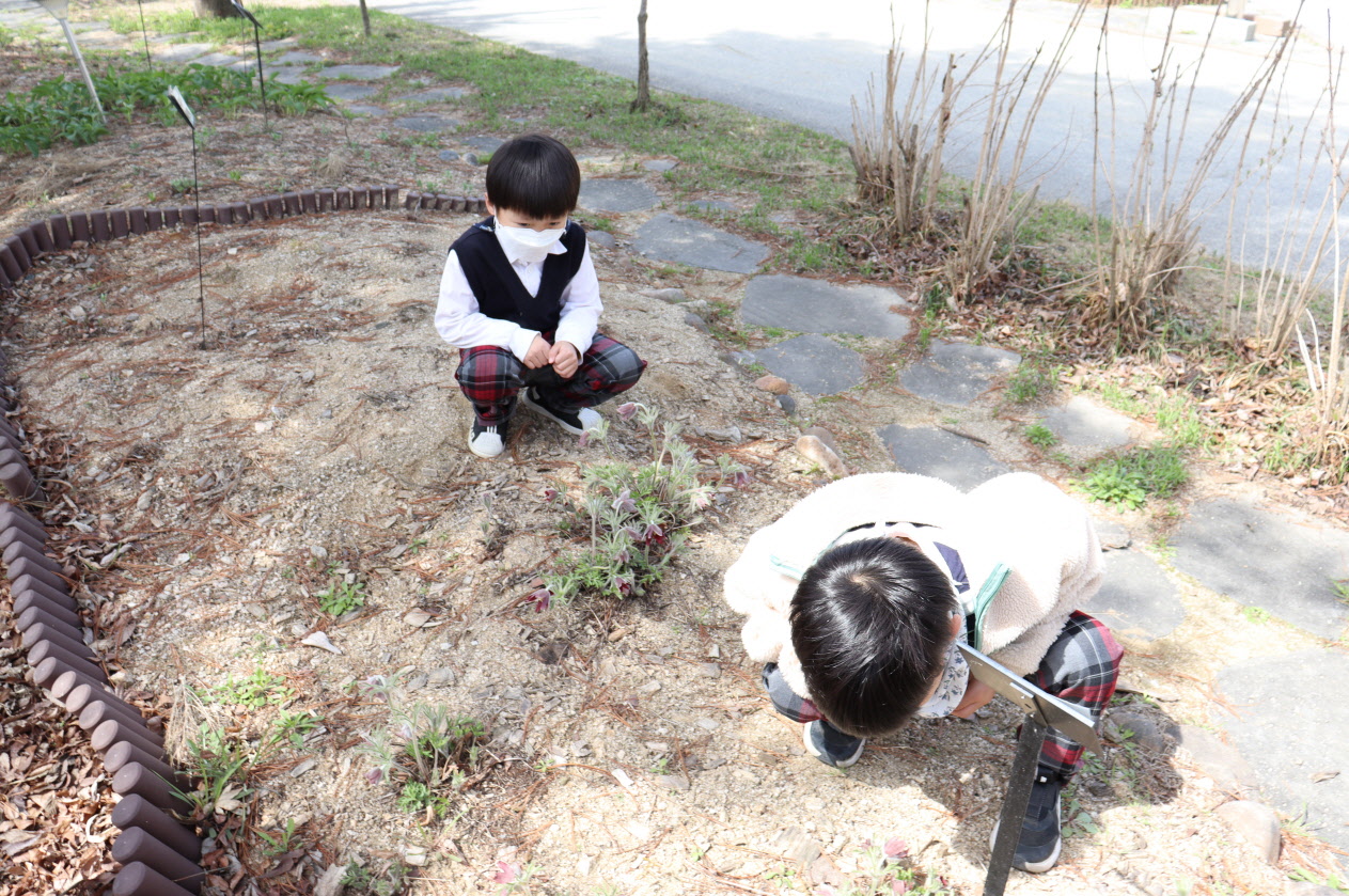 4.10. 봄동산 돌아보기003.JPG