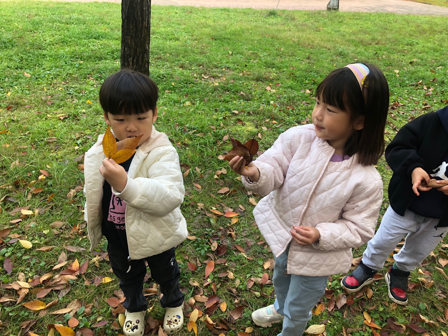 KakaoTalk_20231027_202830983_23