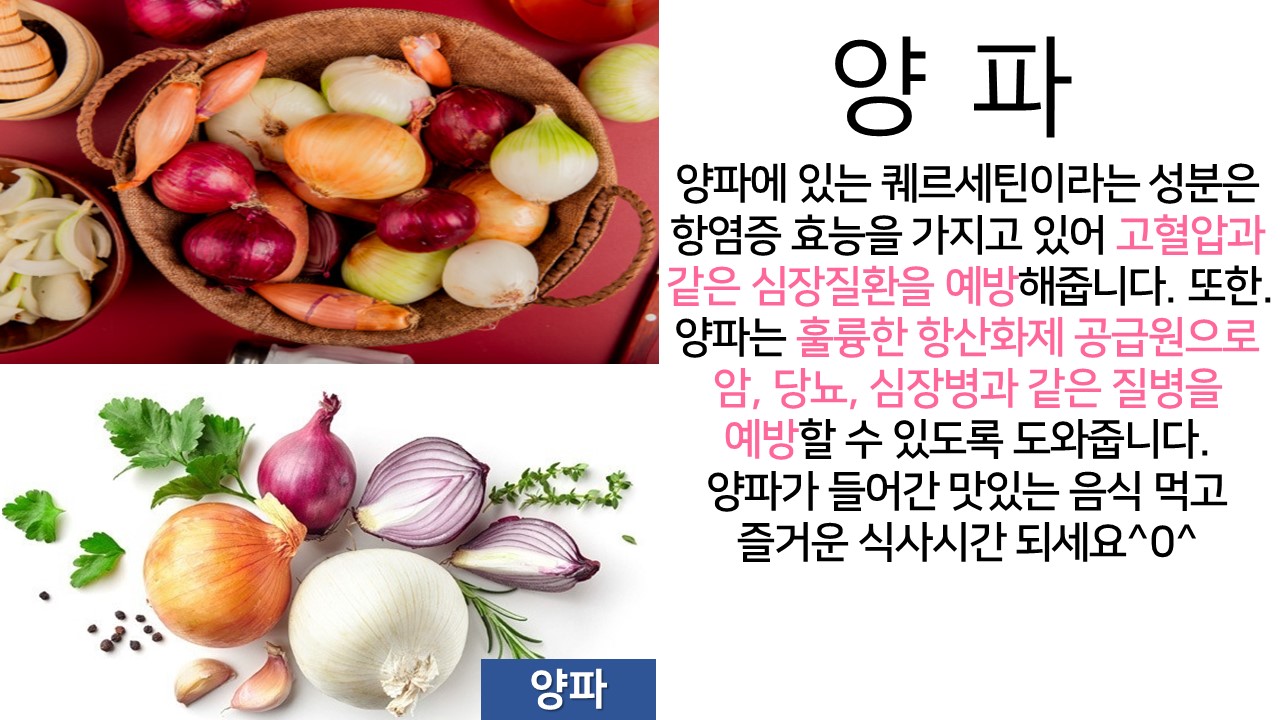 양파(11.8)