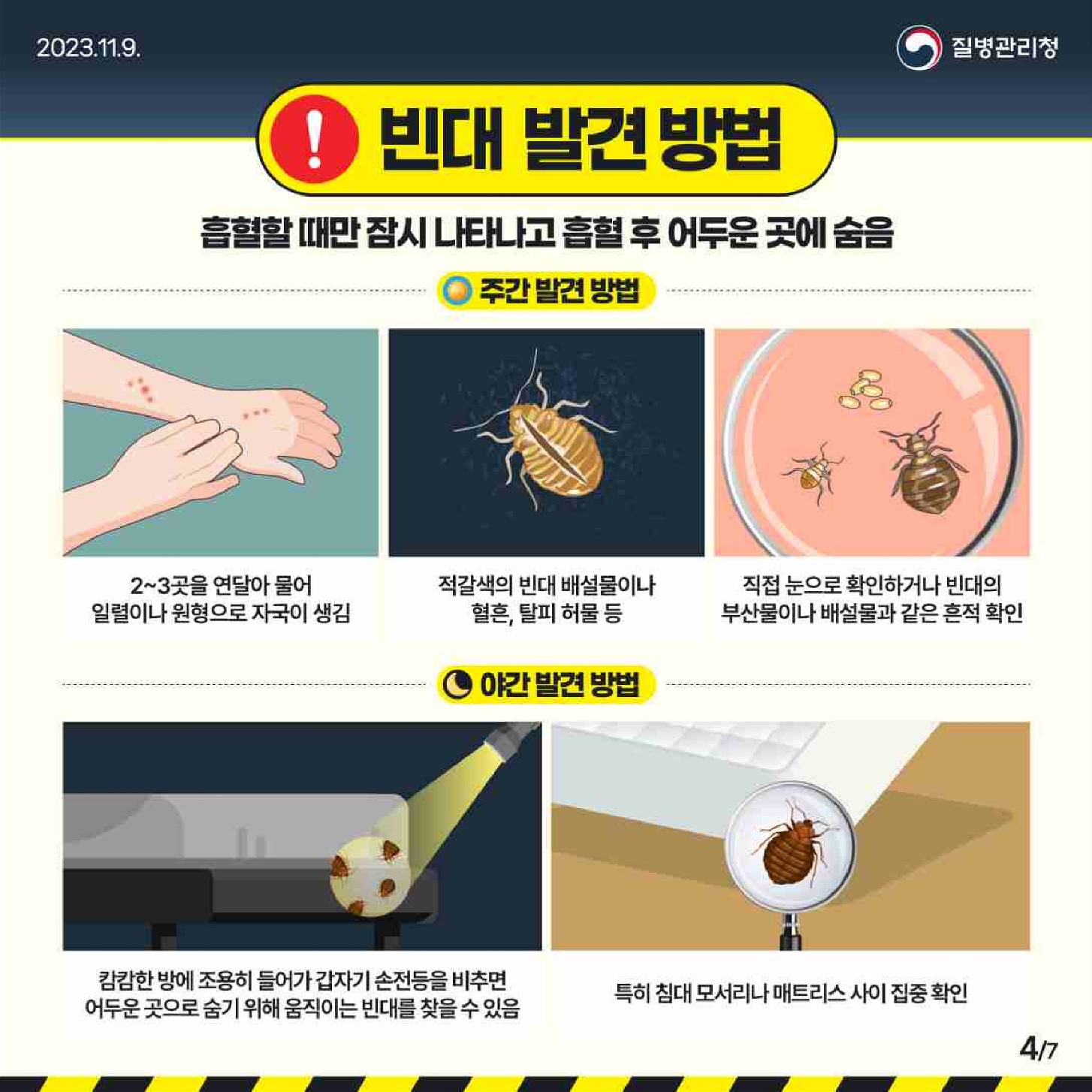 충청북도교육청 체육건강안전과_카드뉴스_4