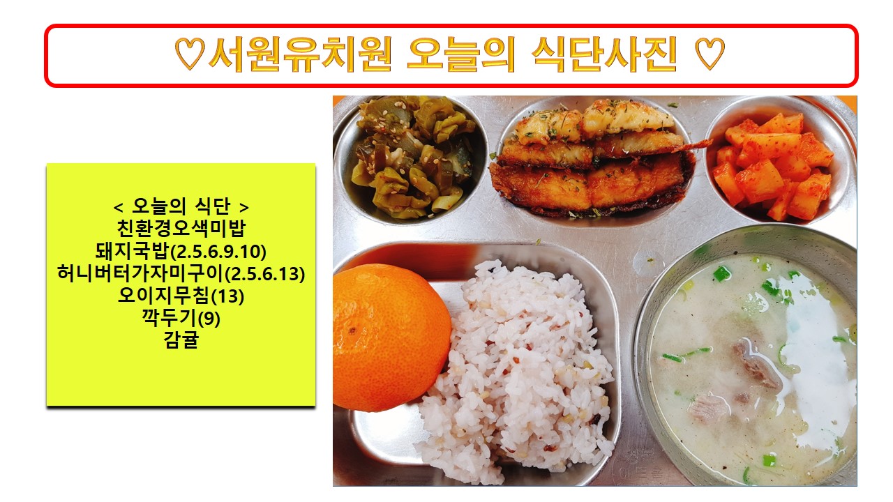 식단사진2023.11.15.