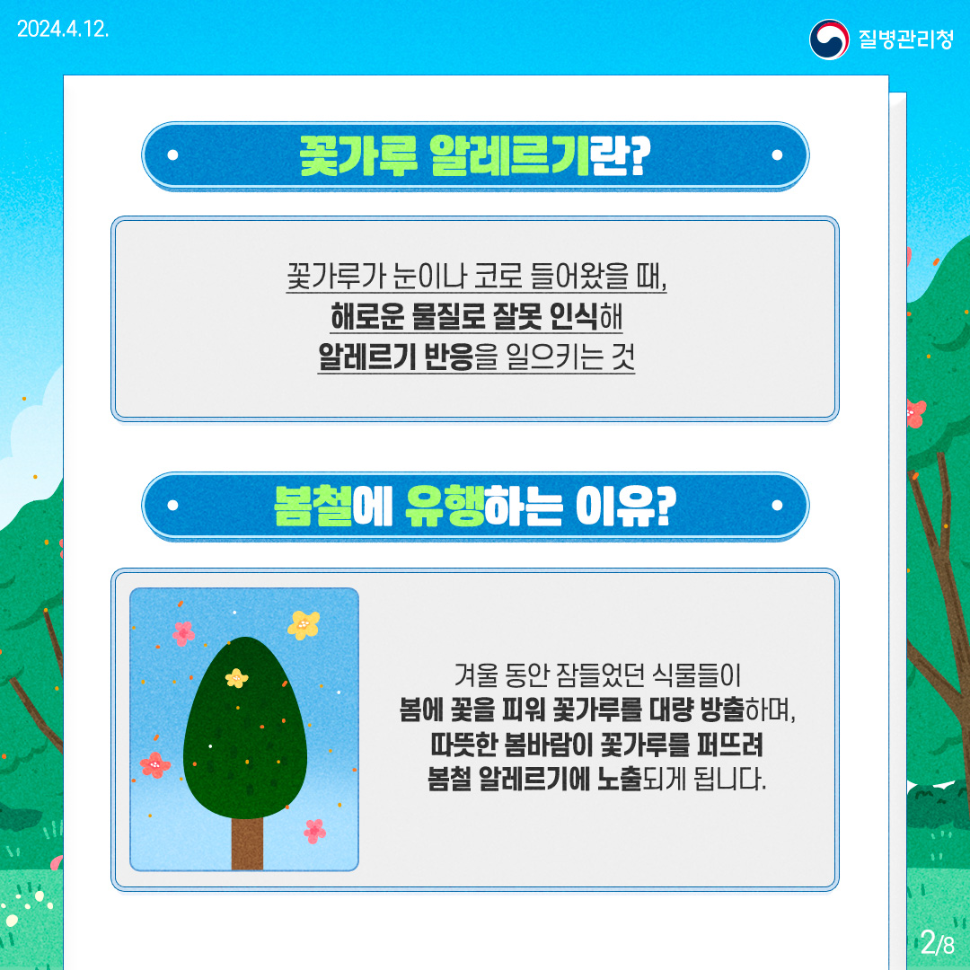 240411-알자내몸-꽃가루-알레르기2