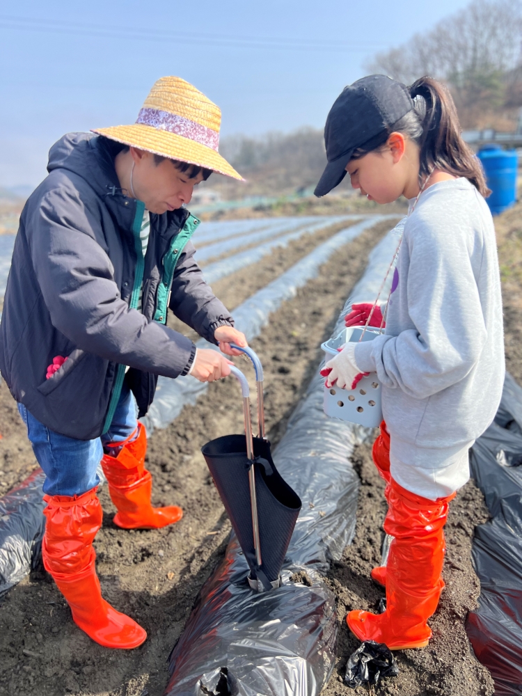 0327 감자프로젝트 (48)