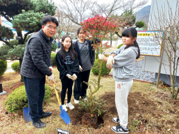 20240405-양산초 교화심기 식목행사.jpg