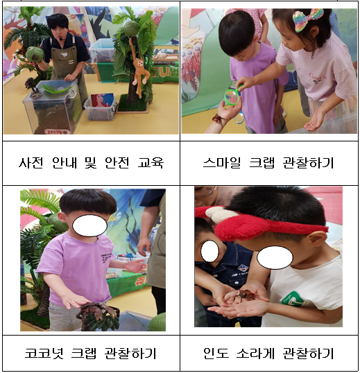 6월동물체험.png