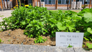 사계절 꽃 피는 학교(24. 6. 3) (2).jpg