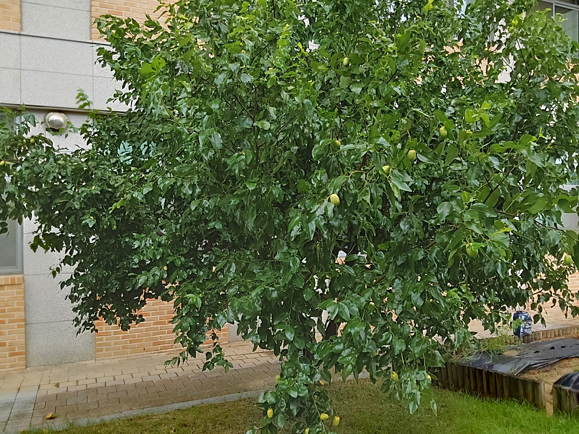 20240823_114212