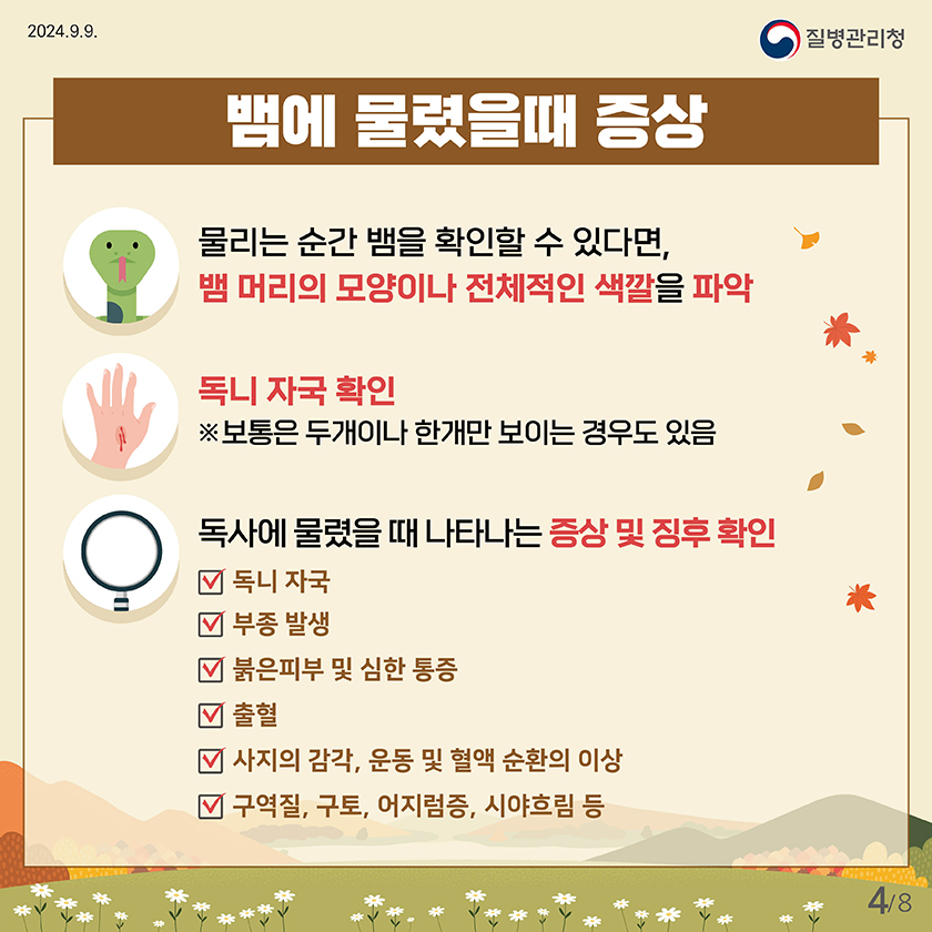 뱀물림_카드뉴스_전체11차4_3