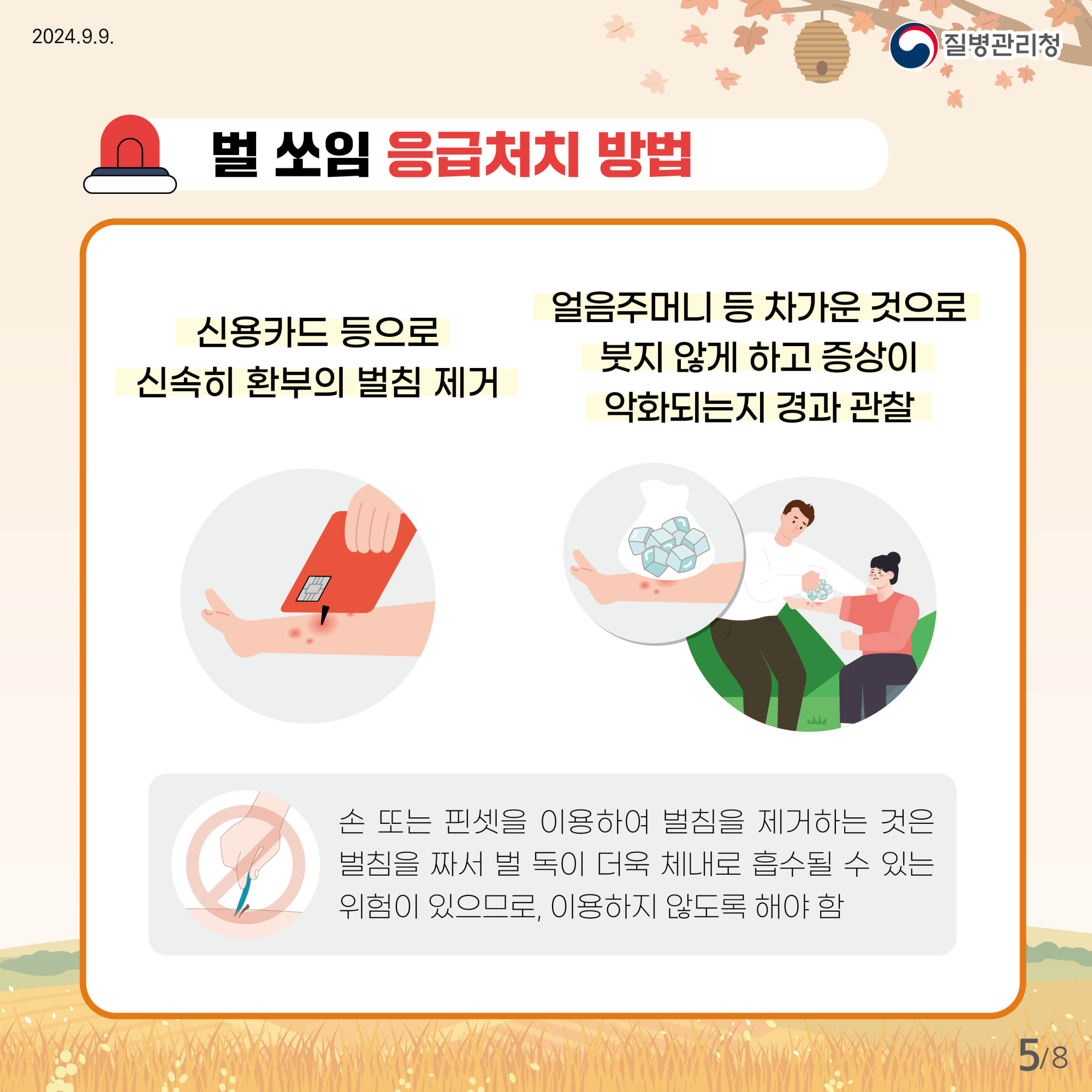 0910_벌쏘임_예방법_카드뉴스_전체시안5