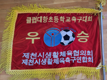 클럽대항초등축구대회우승.jpg