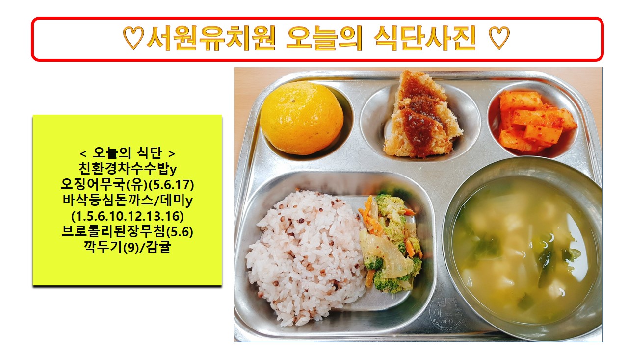 식단사진2024.10.28.