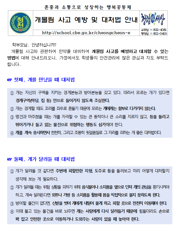 화면 캡처 2024-11-20 114655