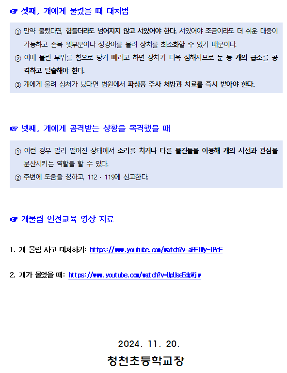 화면 캡처 2024-11-20 114719