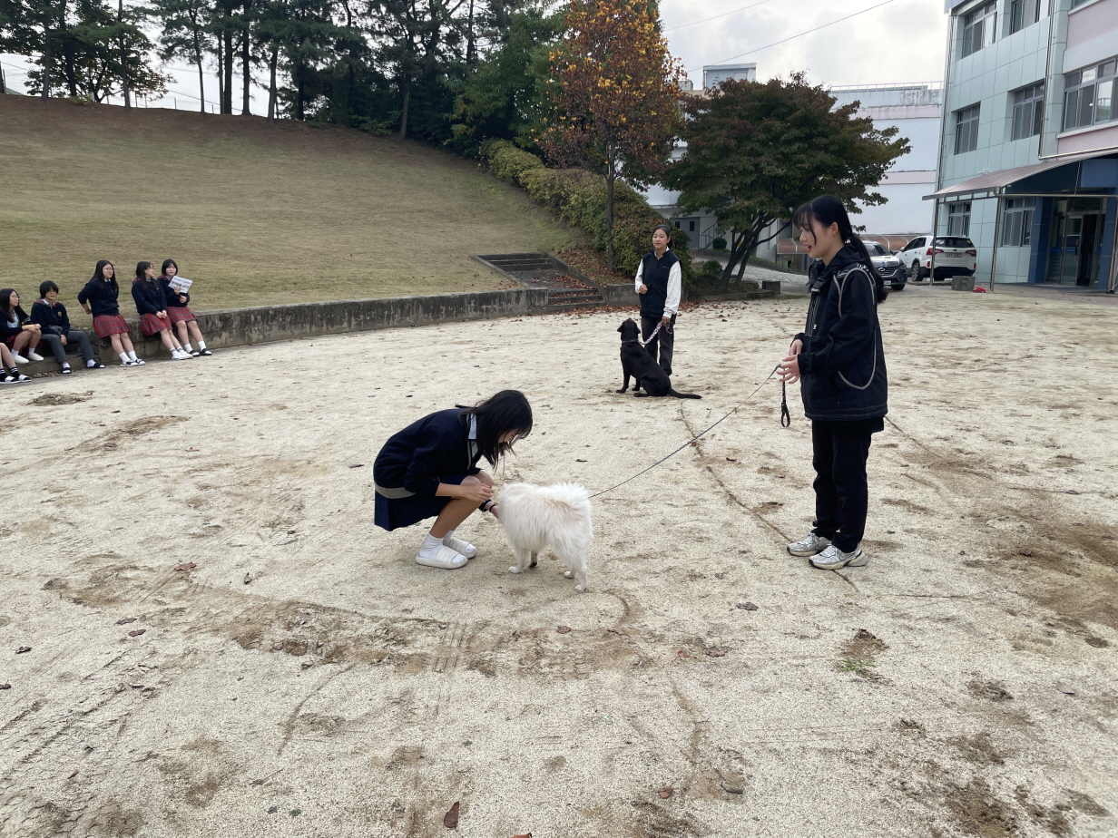 [크기변환]20241104_반려동물3