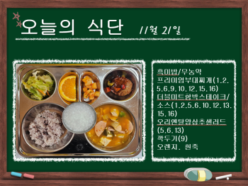 오늘의 식단 사진(2024.11.21).png