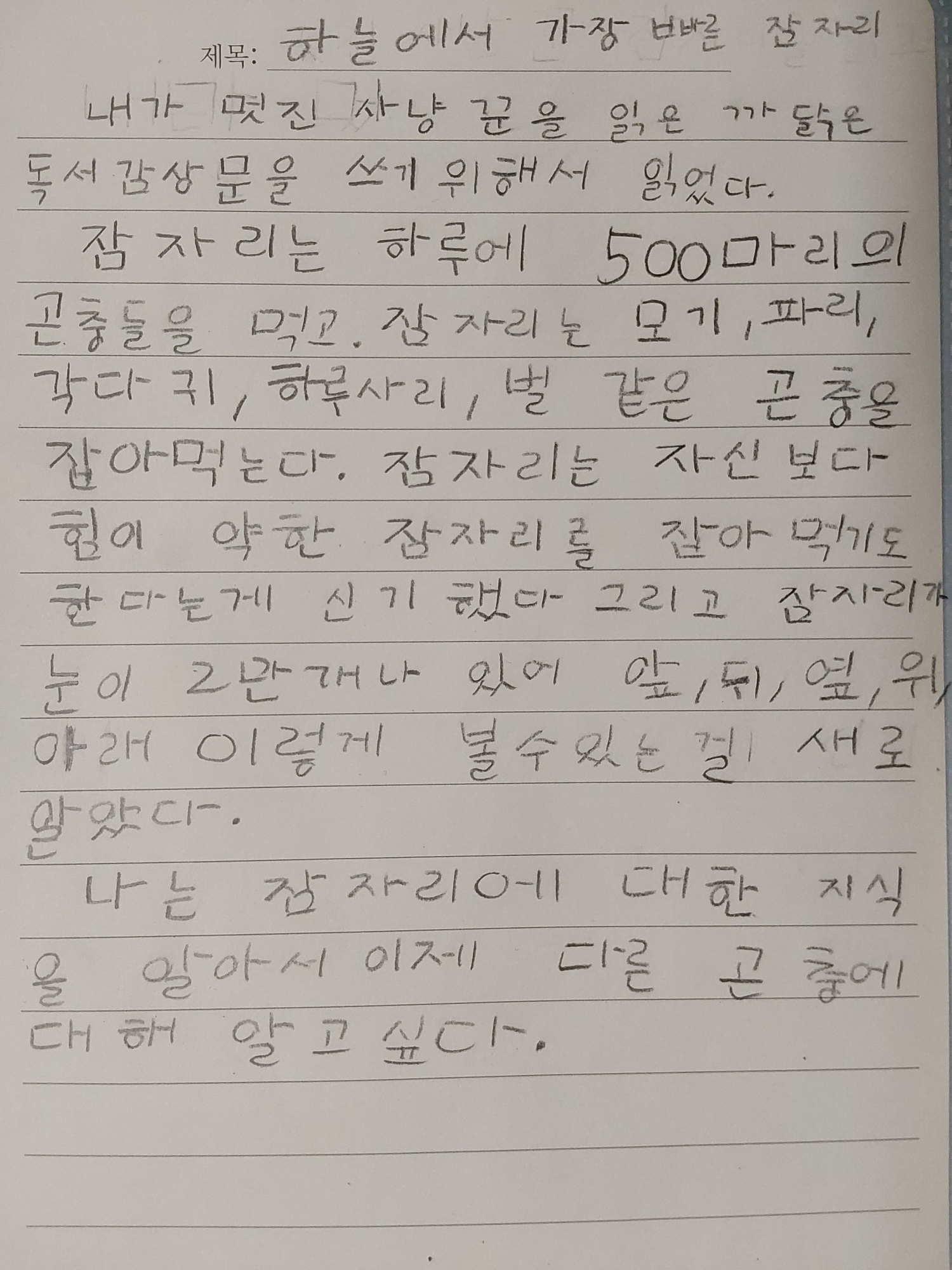 멋진 사냥꾼 잠자리 독서감상문
