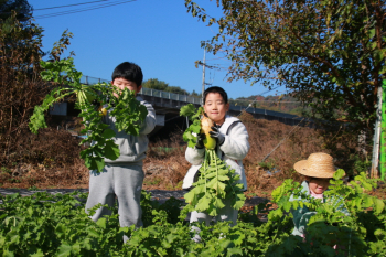 사본 -IMG_1286.jpg