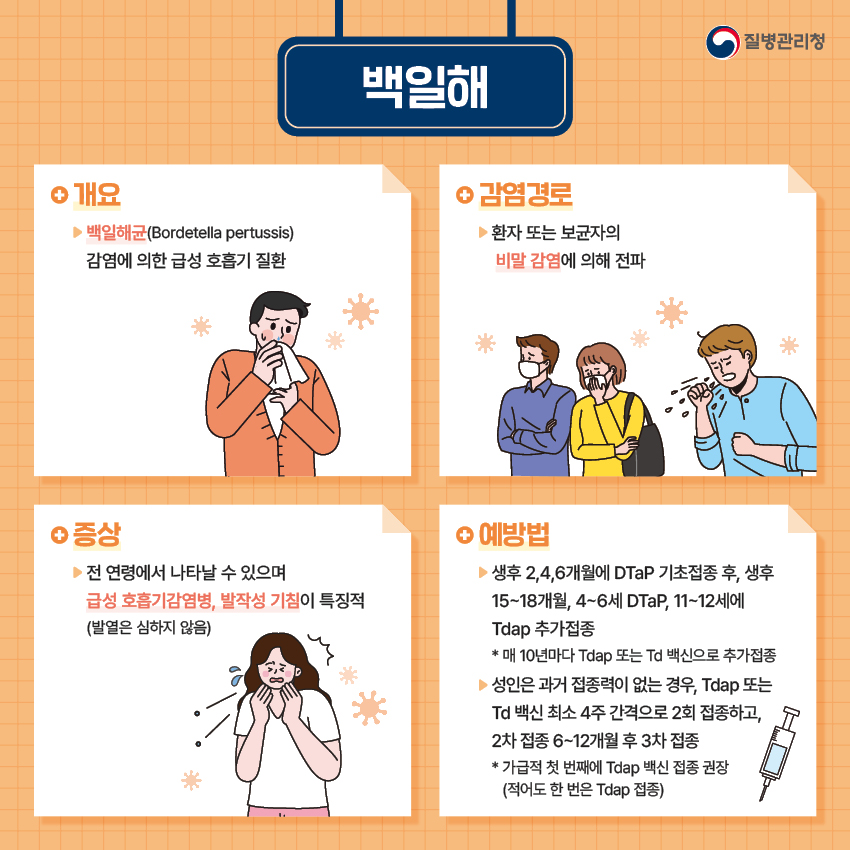 충청북도교육청 체육건강안전과_백일해 예방 카드뉴스