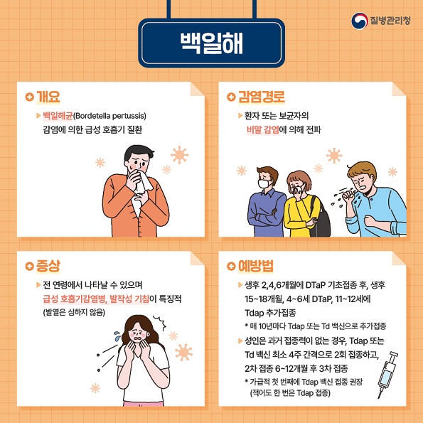 충청북도교육청 체육건강안전과_백일해 예방 카드뉴스