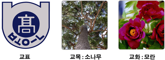 교표 교목 교화