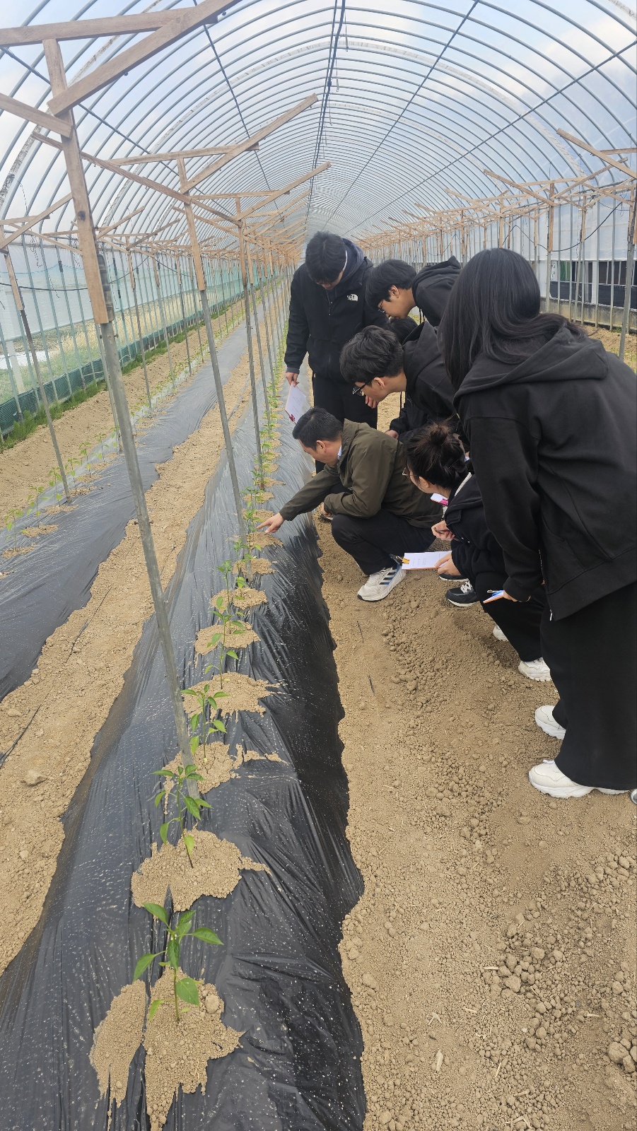 KakaoTalk_20250428_152533647_04