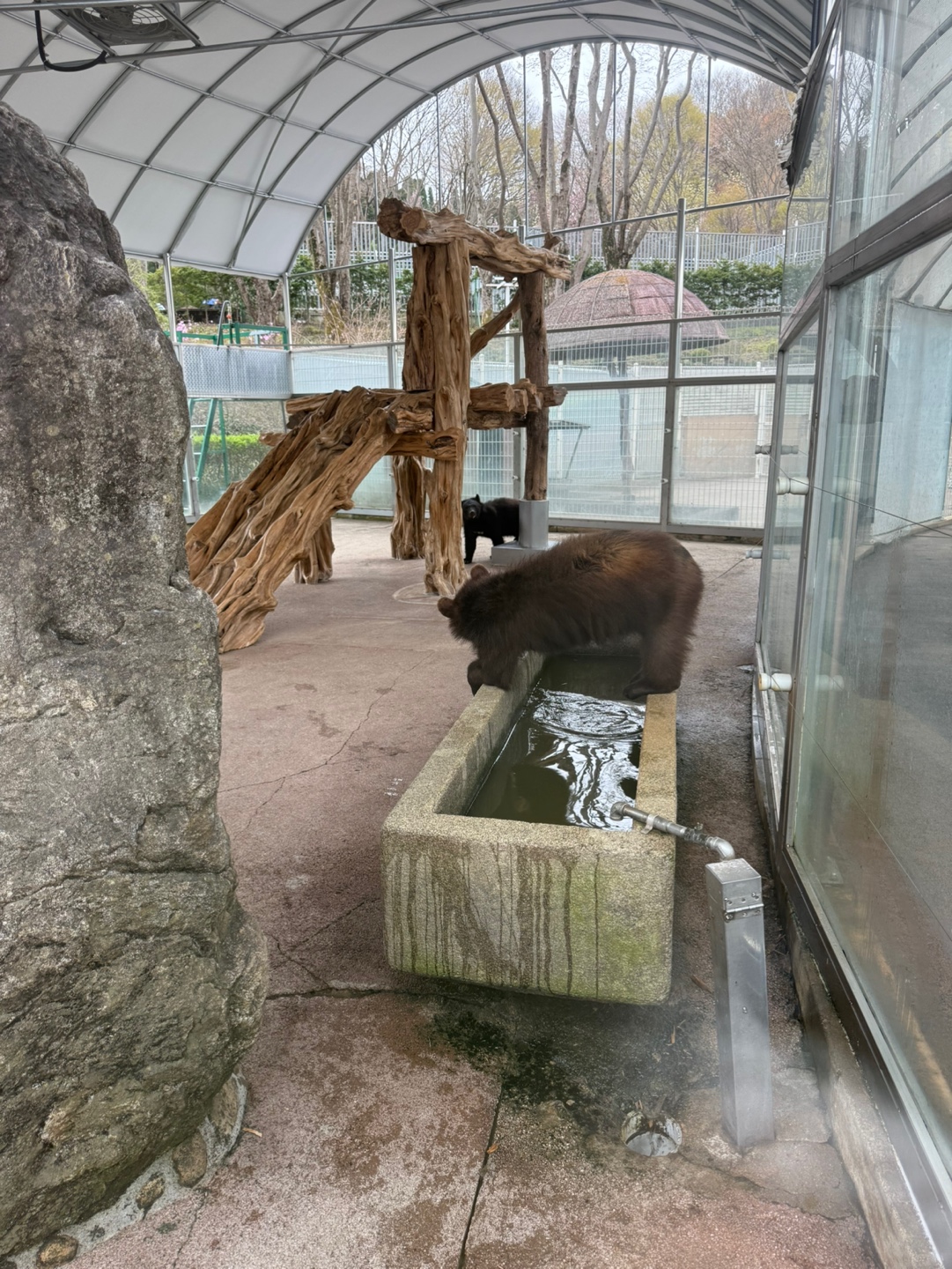 KakaoTalk_20250424_172251726_09