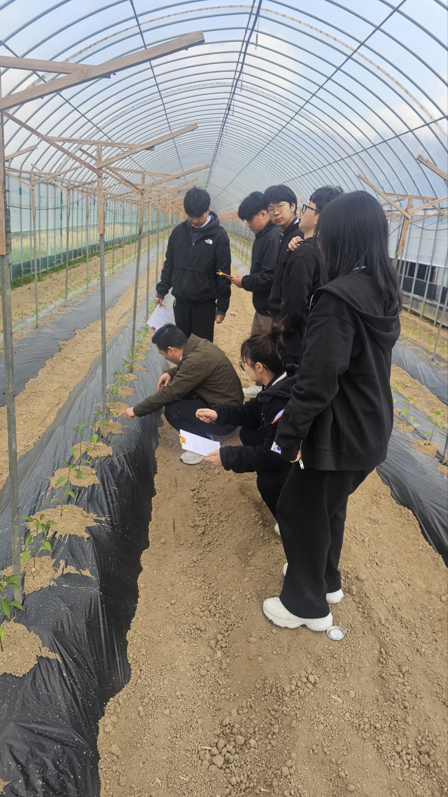 KakaoTalk_20250428_152533647_03