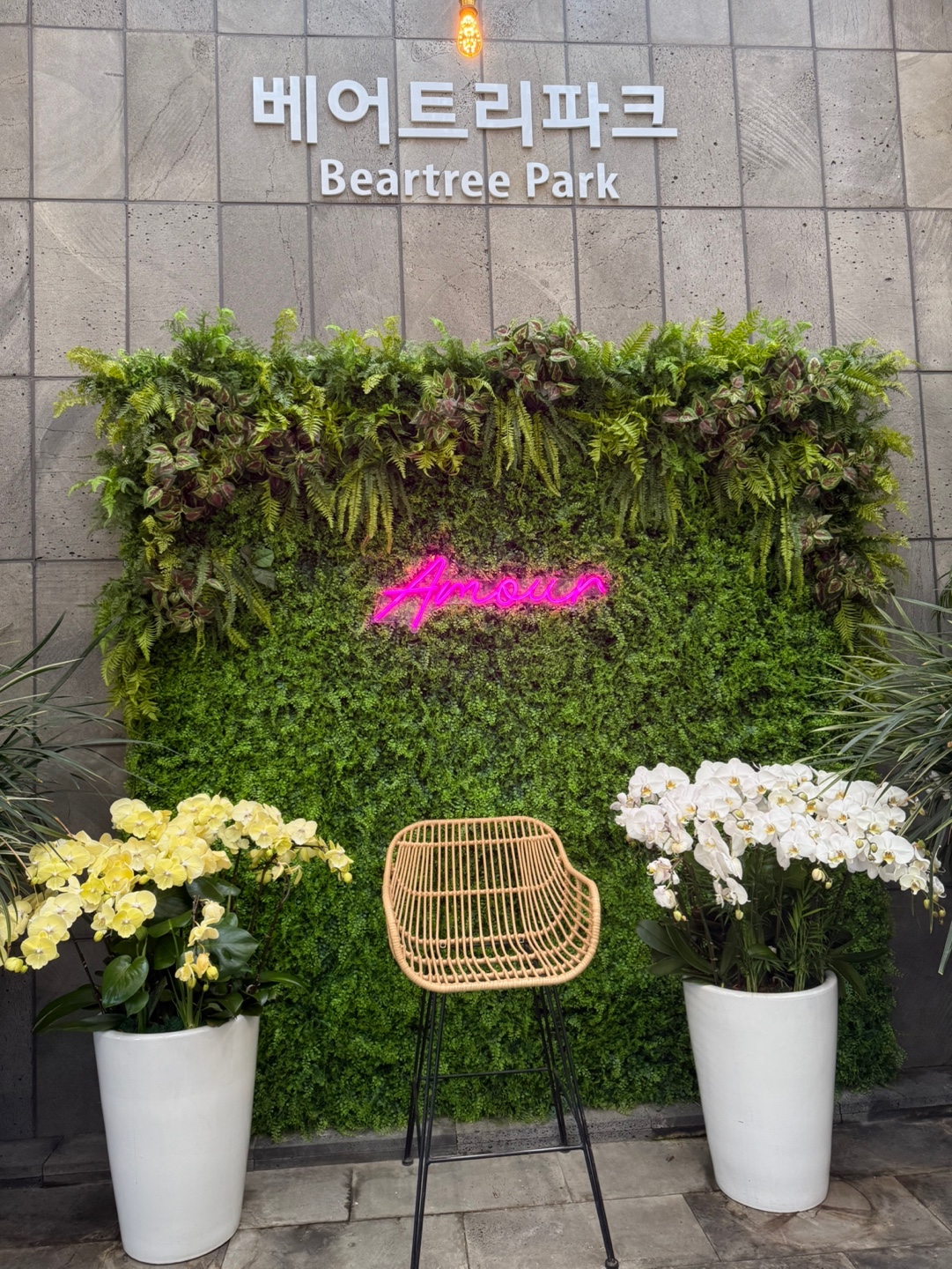 KakaoTalk_20250424_172251726_13