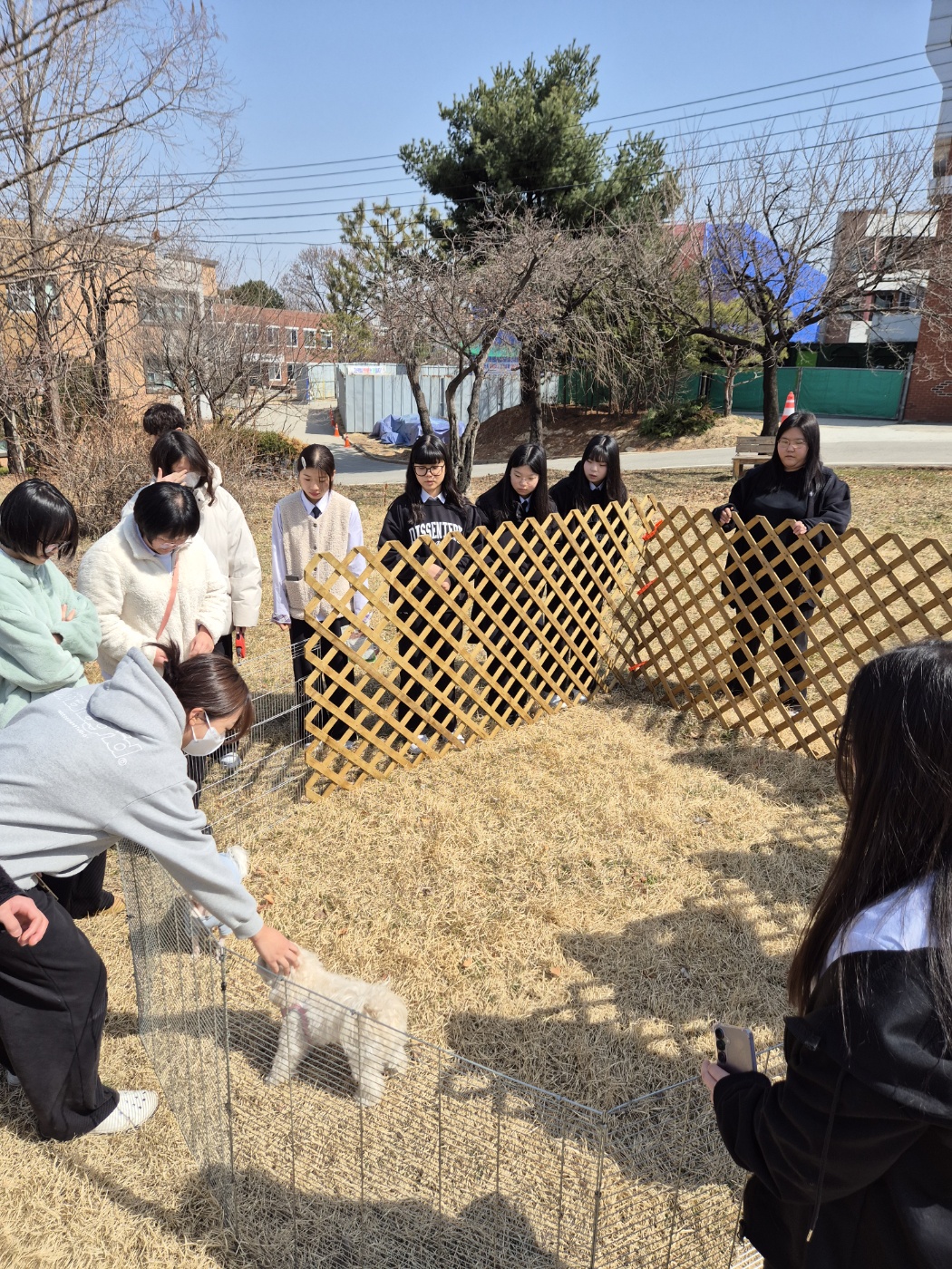 KakaoTalk_20250409_105937655_01