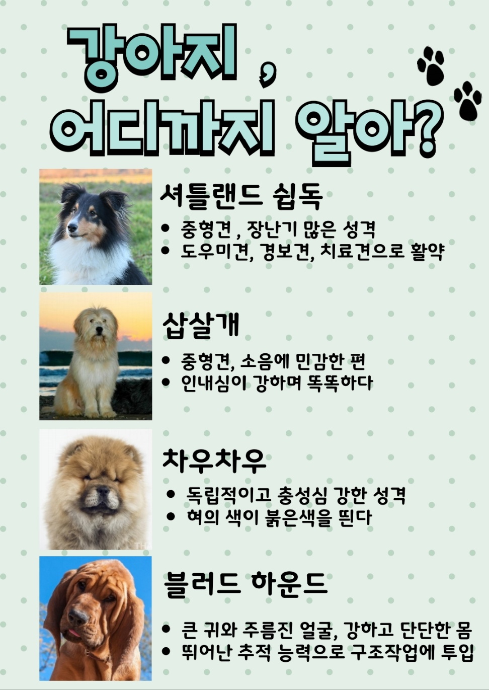 KakaoTalk_20250409_152238754_04
