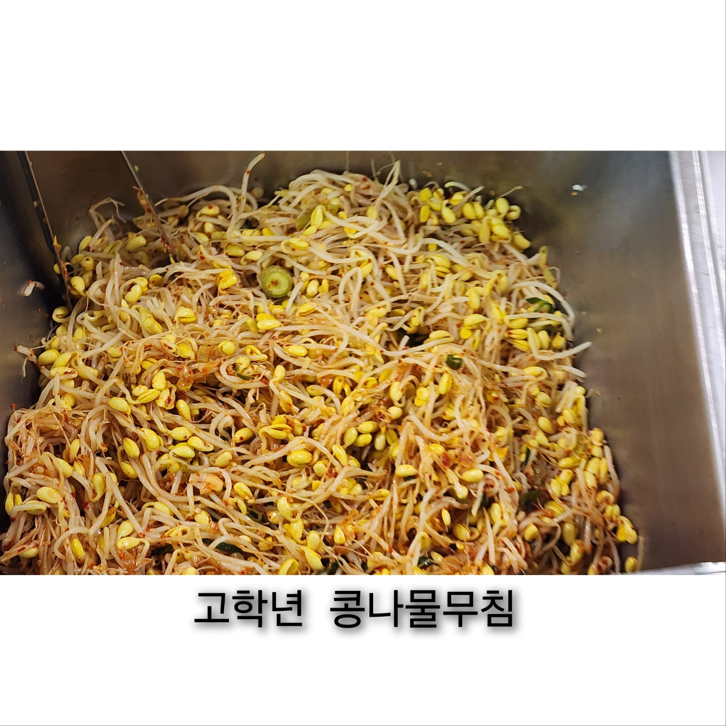 4월 21일 고학년 콩나물