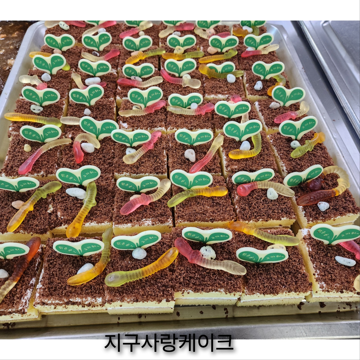 4월 22일 지구사랑케이크