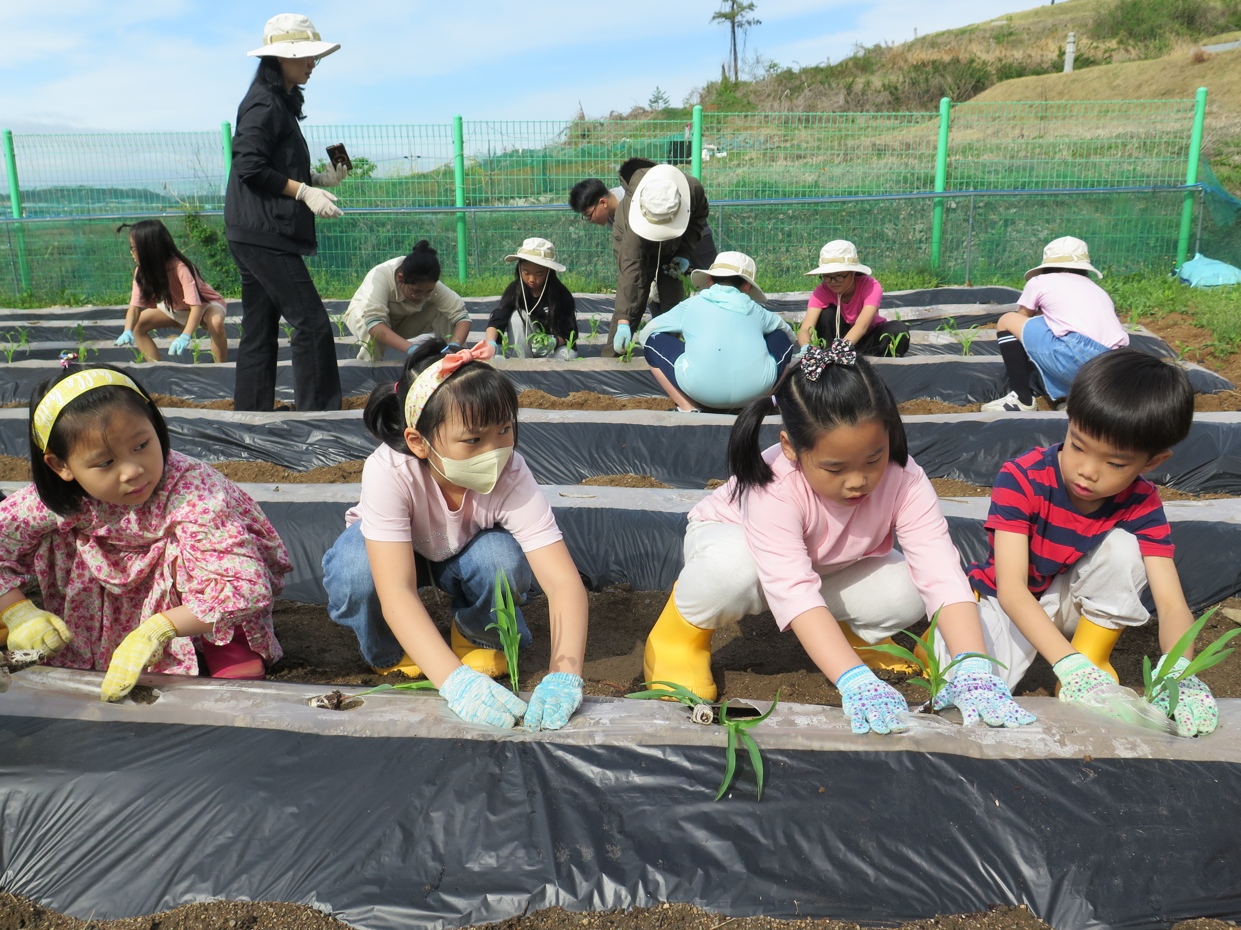 2025-4-23 구정초 -구정초 전교생 옥수수모종심기체험 사진1.JPG